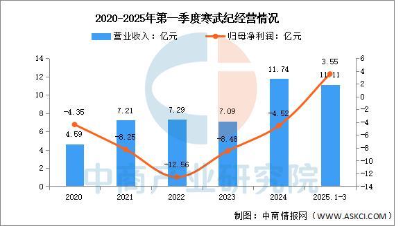 2025年中国算力芯片行业市场前景预测研究报告（简版）(图8)