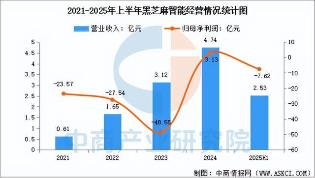 2025年中国汽车芯片行业市场前景预测研究报告（简版）(图11)