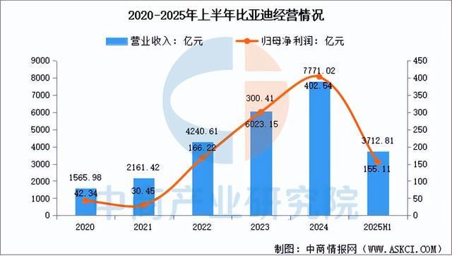 2025年中国汽车芯片行业市场前景预测研究报告（简版）(图12)