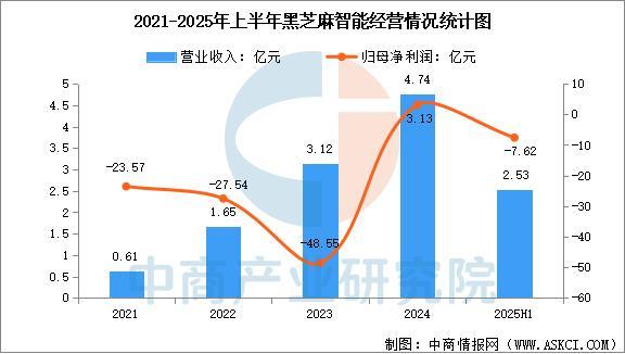 2025年中国汽车芯片行业市场前景预测研究报告(图11)