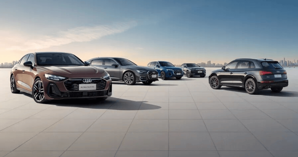 有人嫌有人馋中国供应链到底该咋做？(图4)