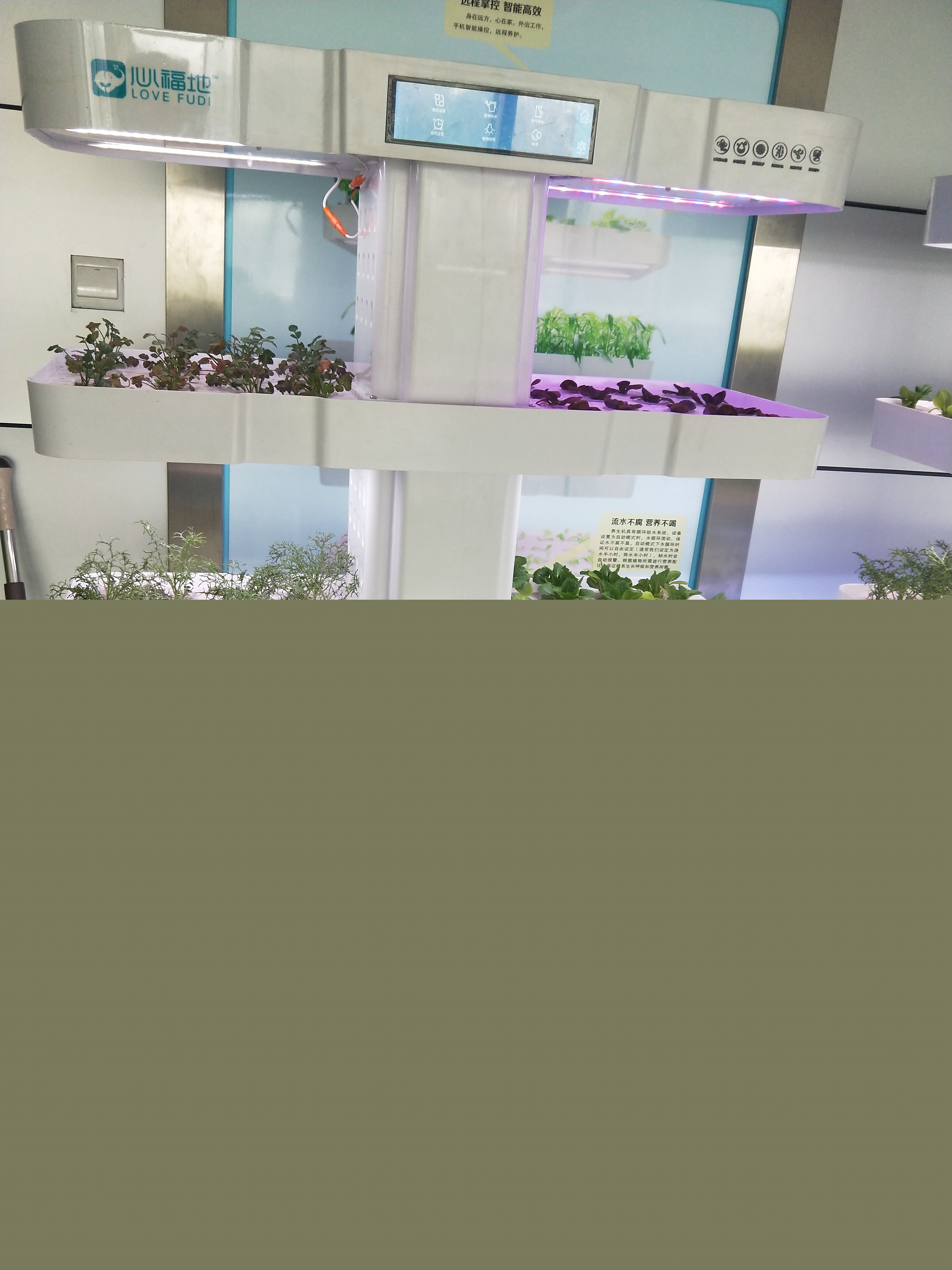 2026年坚果行业现状与未来发展趋势展望(图1)