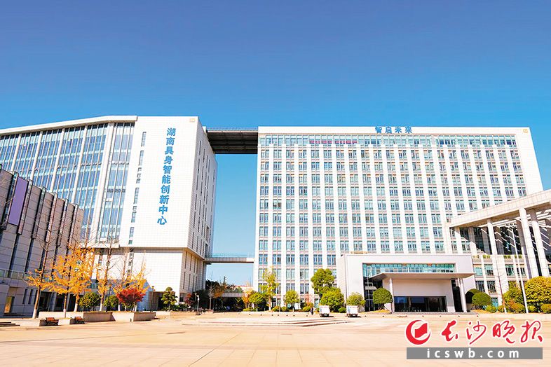 潮涌“人工智能+” 逐浪新质生产力 长沙经开区推动科技创新与产业创新深度融合(图2)