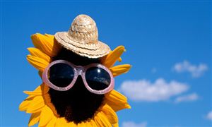 2024智能座舱行业未来发展趋势及前景分析(图2)