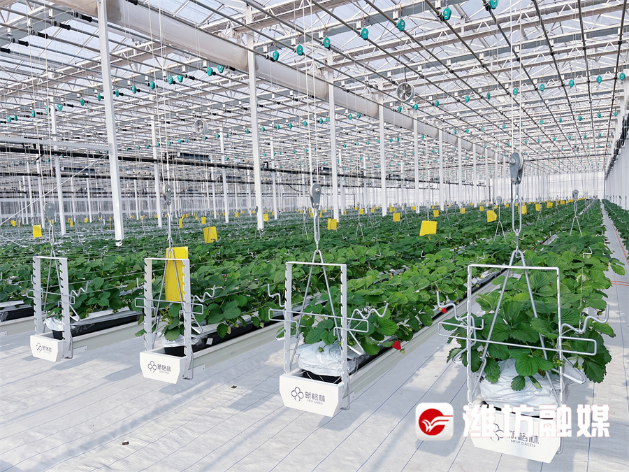 2026年沈阳医养结合新趋势：大家的家沈阳和平城心养老社区收费详解、入住条件及服务内容(图1)