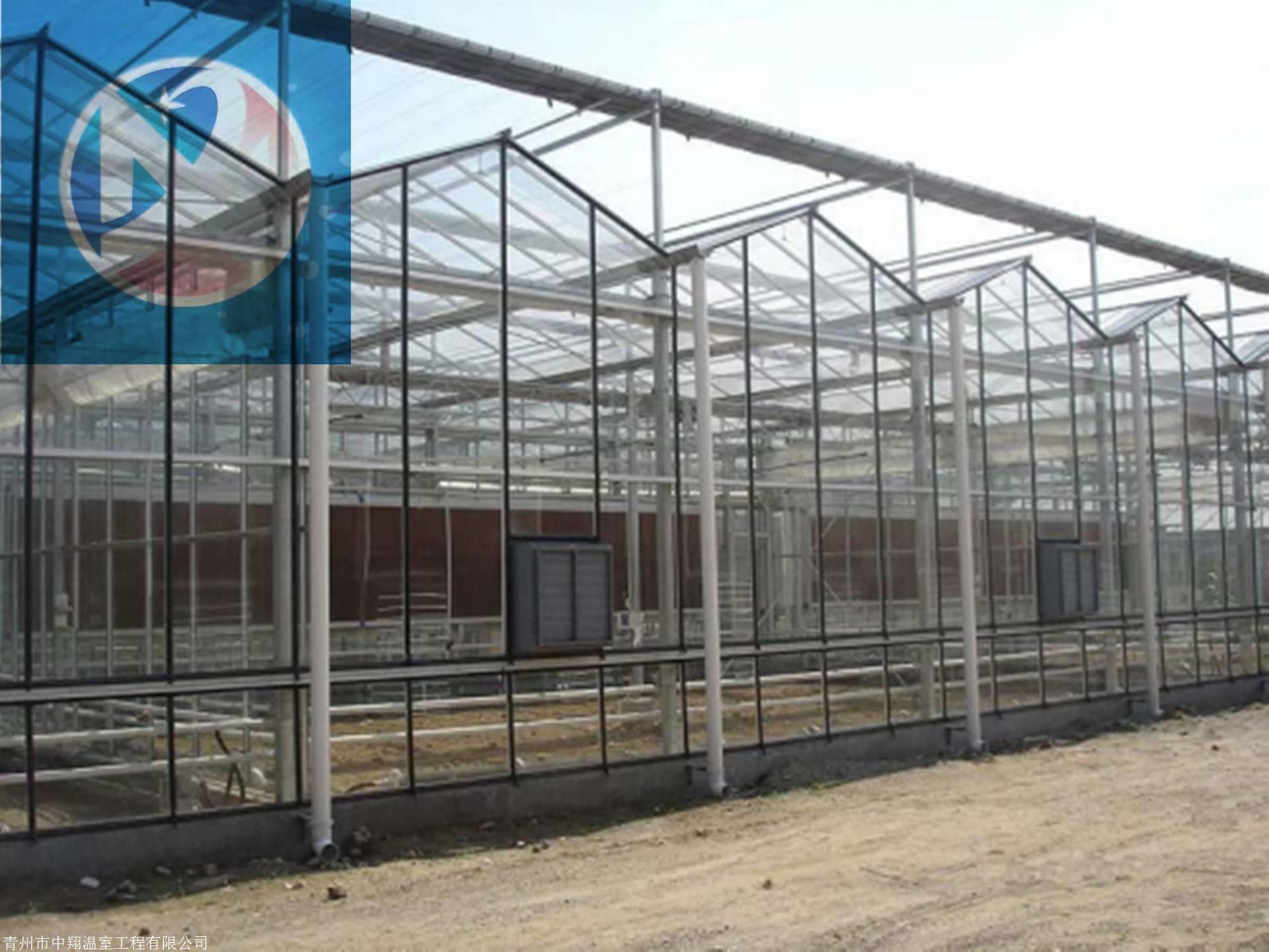 凉州区韩佐镇：从“汗水农业”到“智慧大棚”的蝶变(图1)