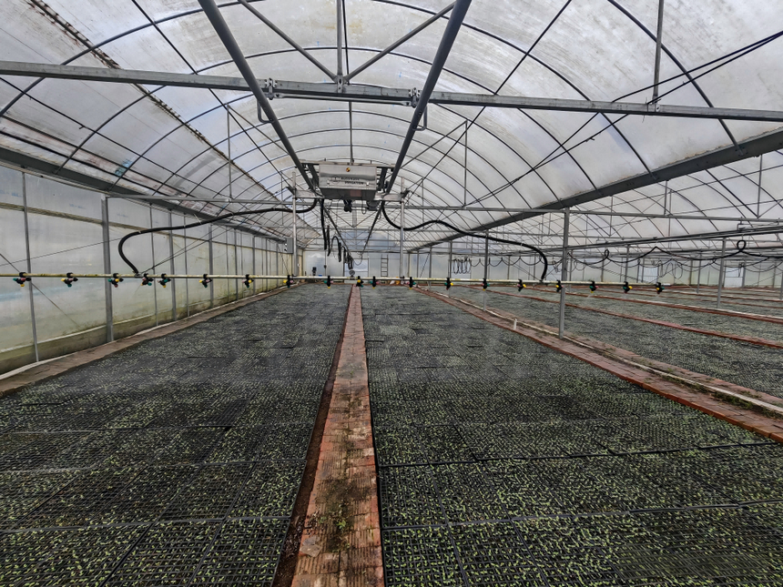 习水县桑木镇：自动化喷淋赋能烤烟育苗 科技护航春耕生产(图1)