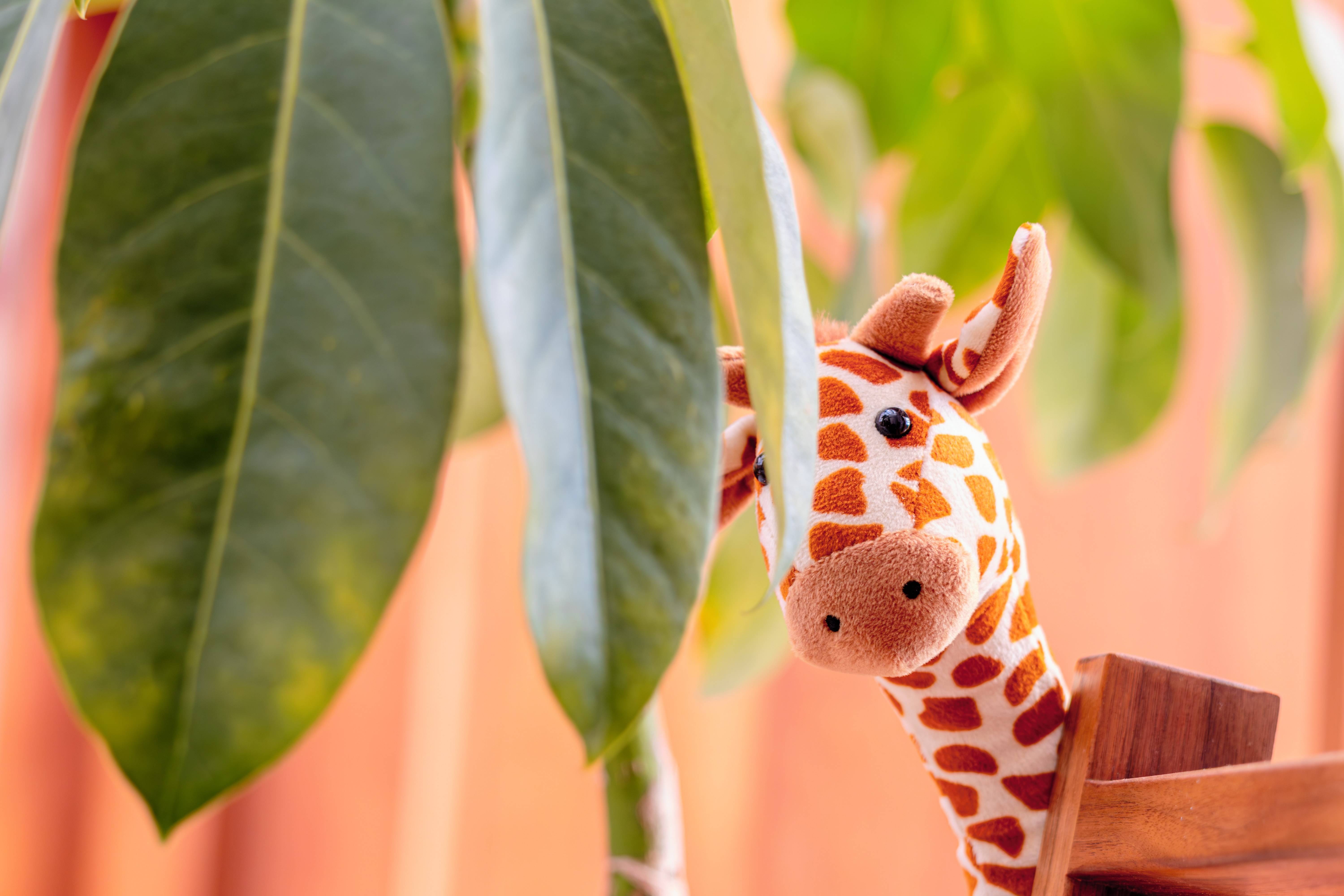 挖到宝了捉到口袋里记录生活的小精灵！(图3)