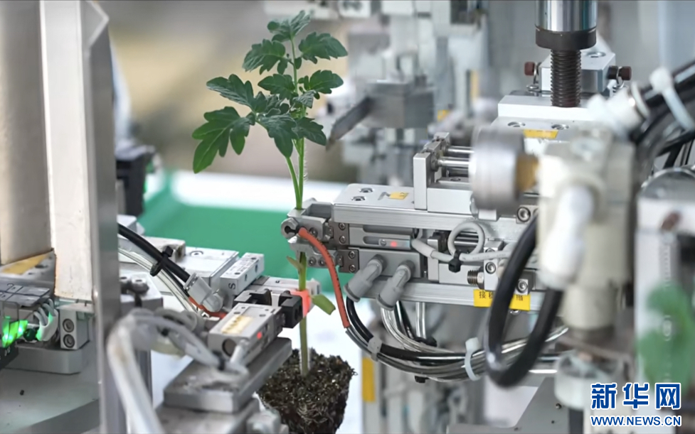 乡村振兴在行动｜农民体验智能化高效春耕(图1)