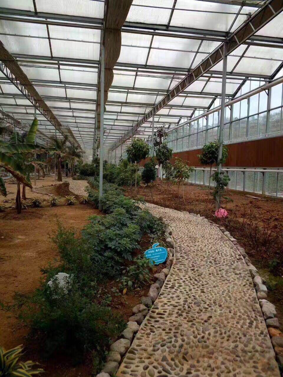 南平首个！建阳区水吉镇杨梅种植智能温控大棚项目有序推进(图1)