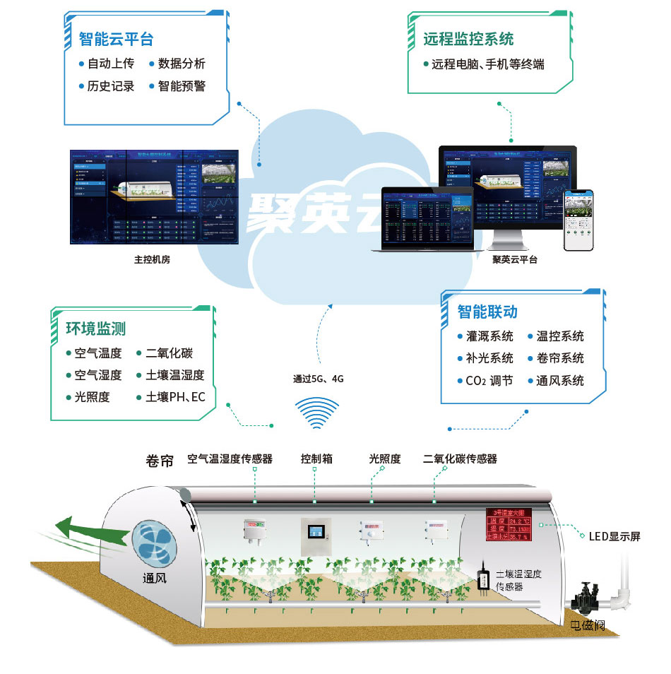 黑龙江宁安：小圆葱托起大产业(图1)