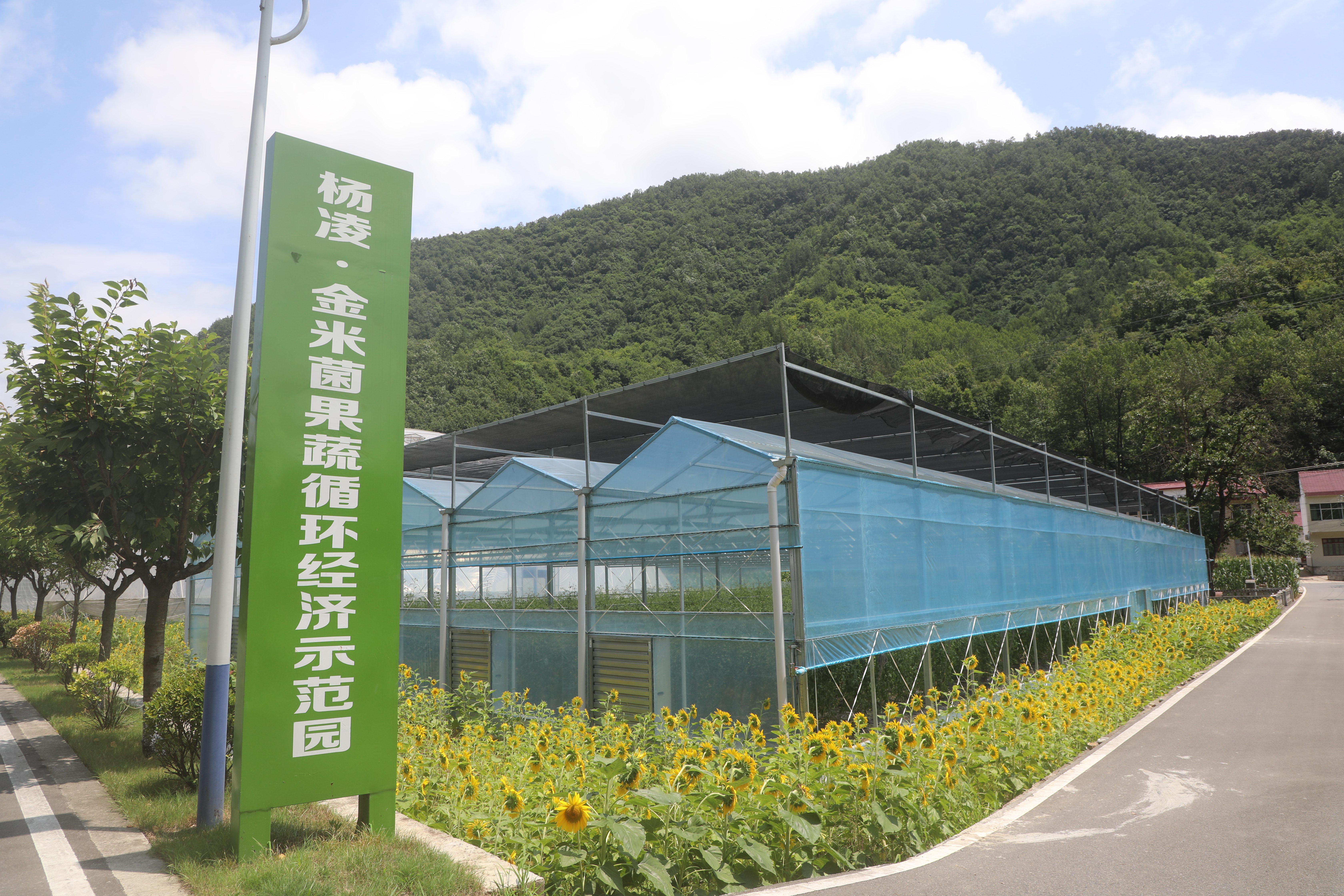 杨凌科技润秦岭循环种养铺就金米共富路(图2)